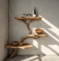 Rustic Driftwood Tree Branch Floating Shelf